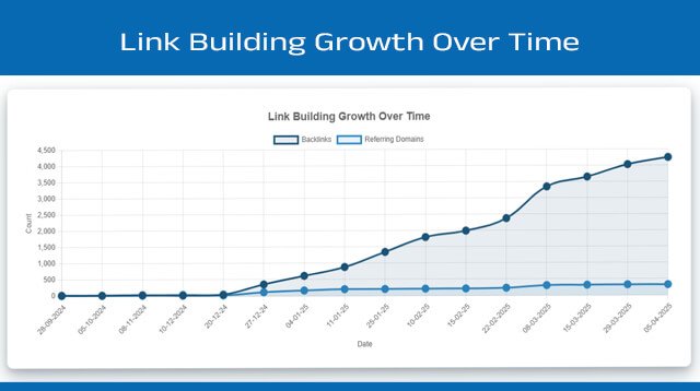 Service business SEO optimization Ahmedabad